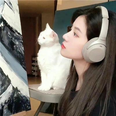 行尸之惧第四季